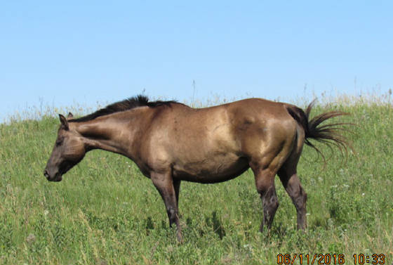 20160611libby.jpg